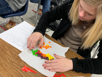 A student is shown separating and counting Skittles as part of a math assignment.